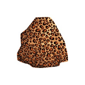 Pattern Leopard Rock